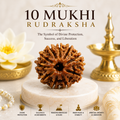 10 Mukhi Rudraksha | Natural Divine Rudraksha Bead for Protection & Positive Energy