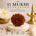 11 Mukhi Rudraksha | Natural Divine Rudraksha Bead for Courage & Spiritual Powe