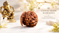 Ganesha Mukhi Rudraksha | Natural Divine Rudraksha Bead for Wisdom & Obstacle Removal