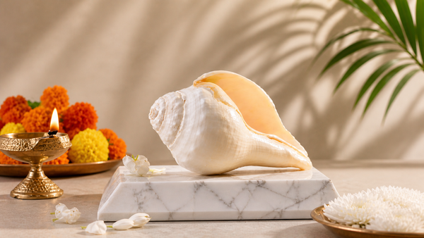 Sankh Conch Shell